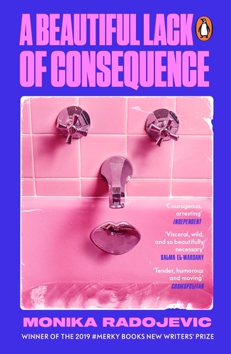 Book cover of A Beautiful Lack of Consequence by Monika Radojevic
