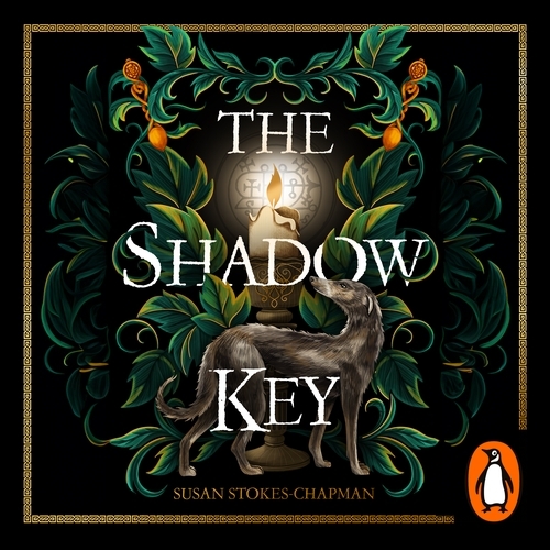Book cover of The Shadow Key by Susan Stokes-Chapman