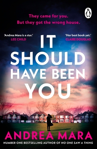 Book cover of It Should Have Been You by Andrea Mara