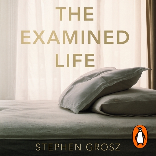 Book cover of The Examined Life by Stephen Grosz