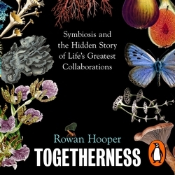 Book cover of Togetherness by Rowan Hooper