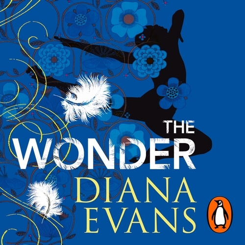 Book cover of The Wonder by Diana Evans