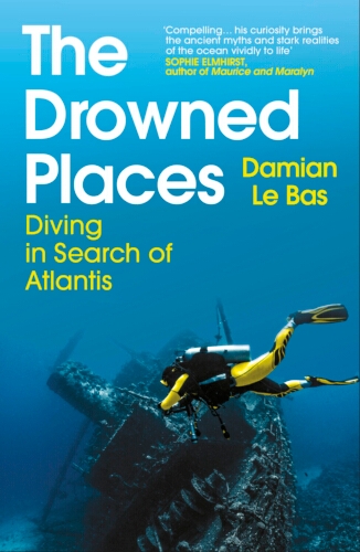 Book cover of The Drowned Places by Damian Le Bas