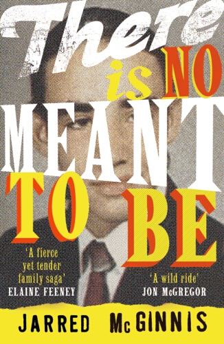 Book cover of There Is No Meant to Be by Jarred McGinnis