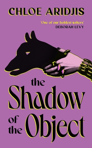 Book cover of The Shadow of the Object by Chloe Aridjis