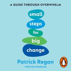 Book cover of Small Steps for Big Change by Patrick Regan