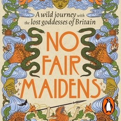 Book cover of No Fair Maidens by Kim Willis