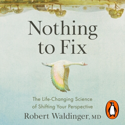 Book cover of Nothing to Fix by Robert Waldinger