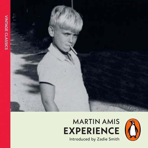 Book cover of Experience by Martin Amis