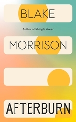 Book cover of Afterburn by Blake Morrison