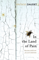 Book cover of In the Land of Pain by Alphonse Daudet