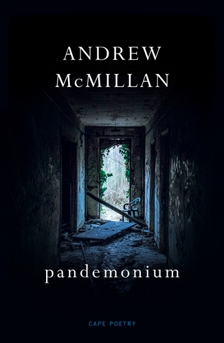 Book cover of pandemonium by Andrew McMillan
