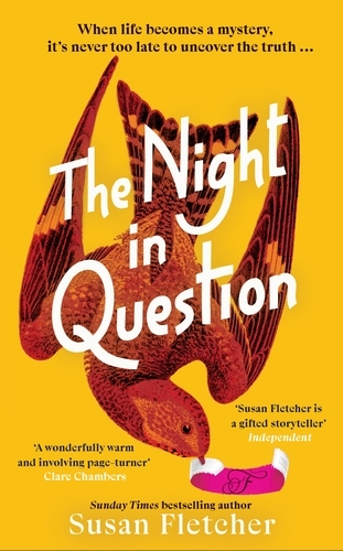 Book cover of The Night in Question by Susan Fletcher