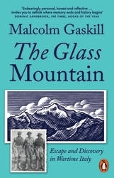 Book cover of The Glass Mountain by Malcolm Gaskill