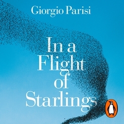 Book cover of In a Flight of Starlings by Giorgio Parisi