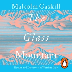 Book cover of The Glass Mountain by Malcolm Gaskill
