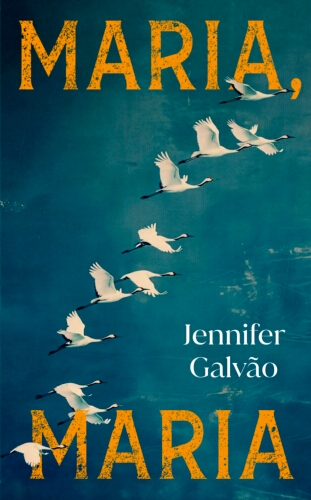 Book cover of Maria, Maria by Jennifer Galvao