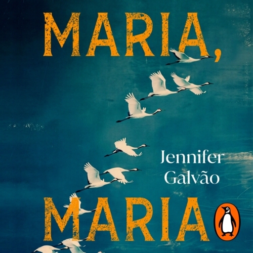 Book cover of Maria, Maria by Jennifer Galvao