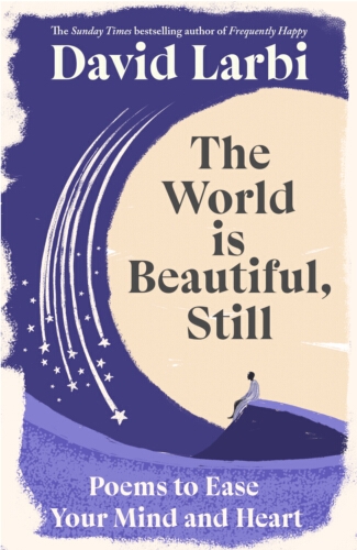 Book cover of The World is Beautiful, Still by David Larbi