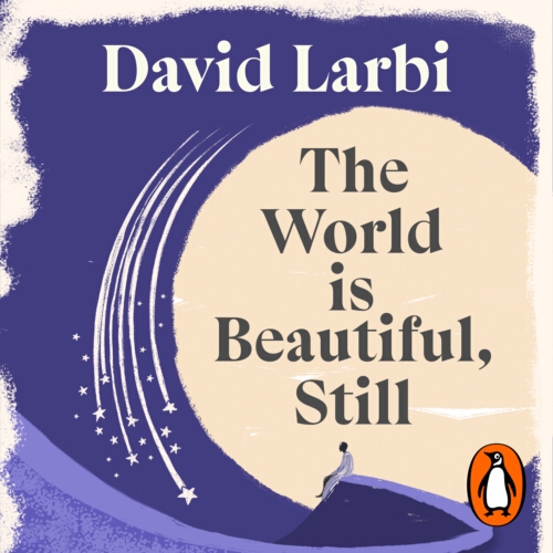 Book cover of The World is Beautiful, Still by David Larbi