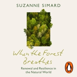 Book cover of When the Forest Breathes by Suzanne Simard