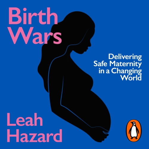 Book cover of Birth Wars by Leah Hazard