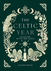 Book cover of The Celtic Year by Alison Davies