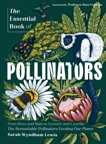 Book cover of The Essential Book of Pollinators by Sarah Wyndham Lewis