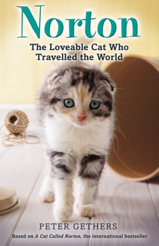 Book cover of Norton, The Loveable Cat Who Travelled the World by Peter Gethers