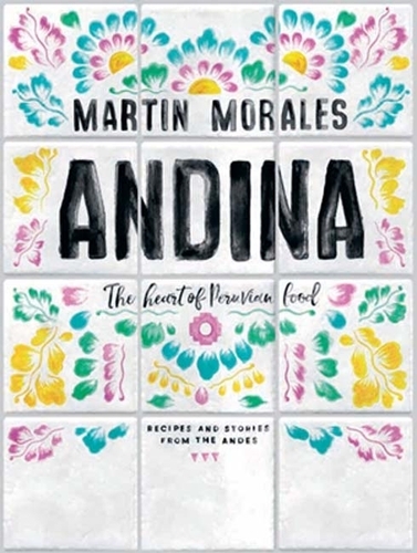 Book cover of Andina by Martin Morales