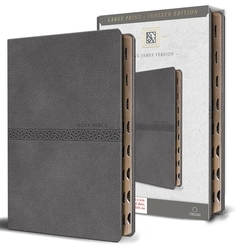 Book cover of KJV Medium Format Large Print Gray Leathersoft with Index by Origin