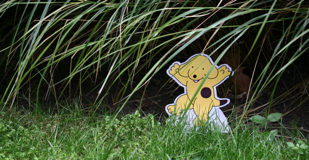 Create your very own outdoors trail to find Spot!