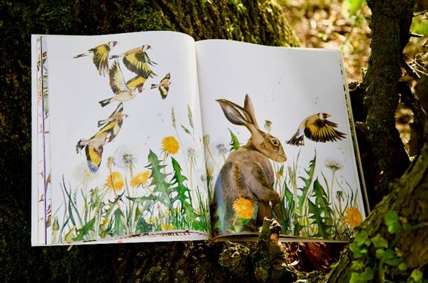 Lost Words book