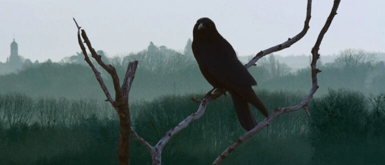 The curse of Macbeth: is it more that superstition?