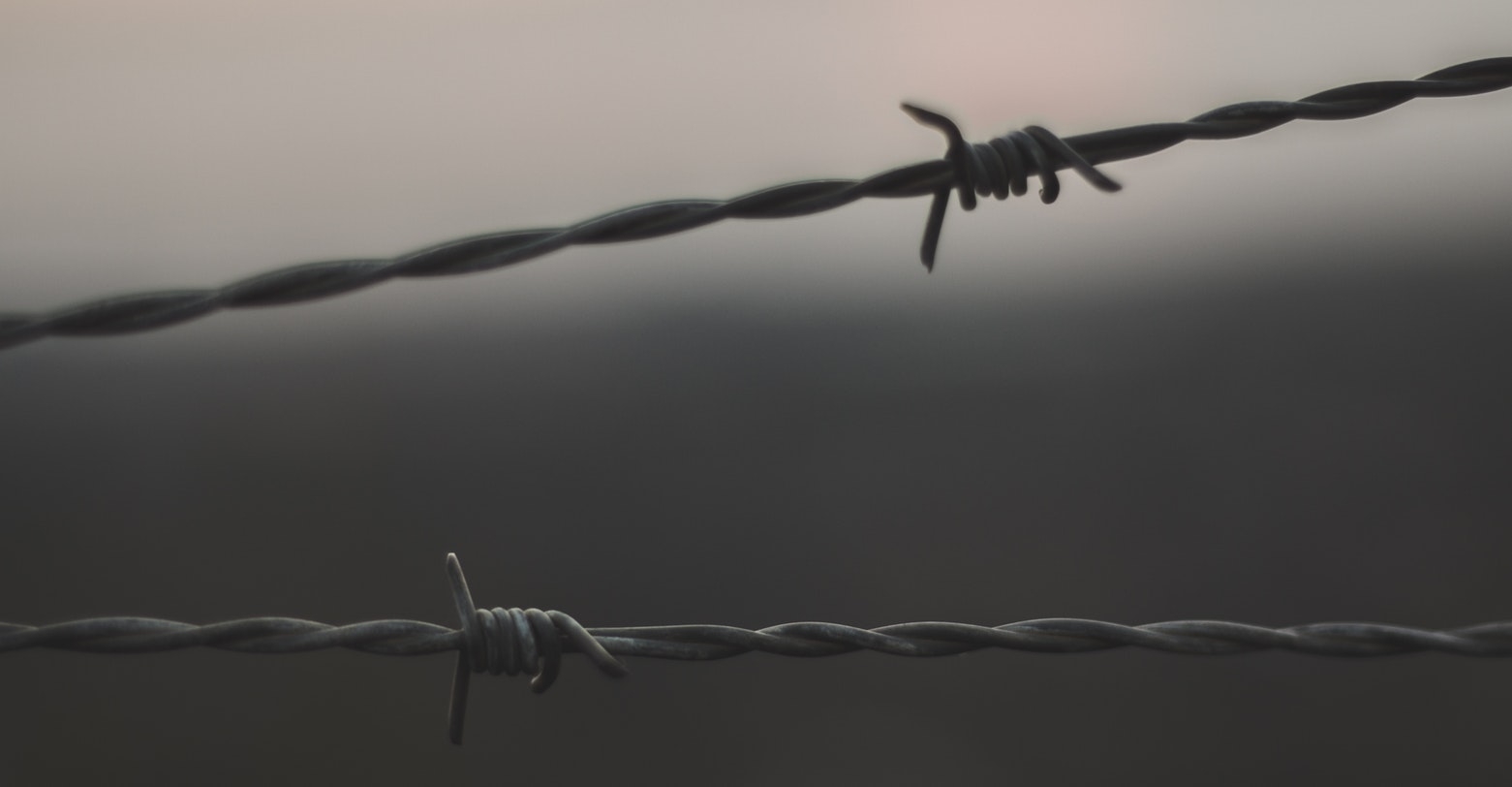 Man’s Search For Meaning by Viktor E. Frankl, a heartbreaking Holocaust survival story