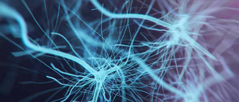 How history got the female brain wrong
