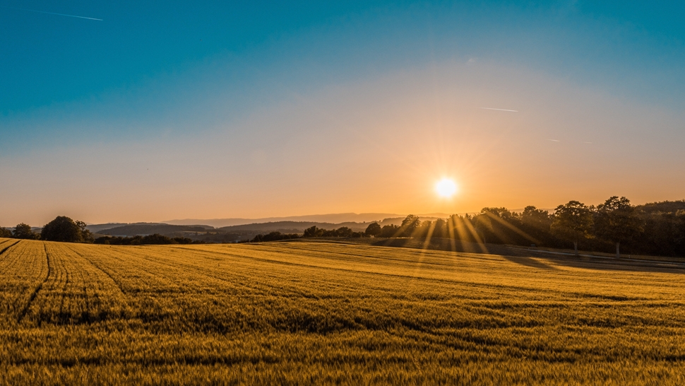 How to tell the time using the sun and other natural signs
