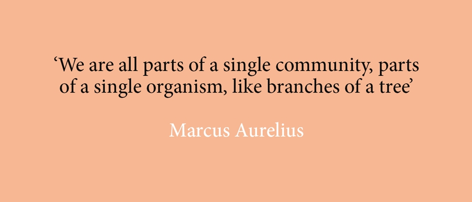 How stoic are you?