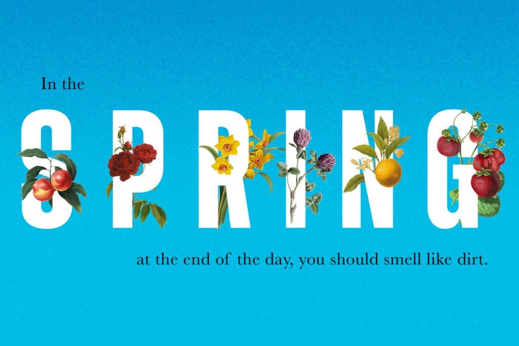 A joyous illustration of the word 'spring' with flowers growing out of it.