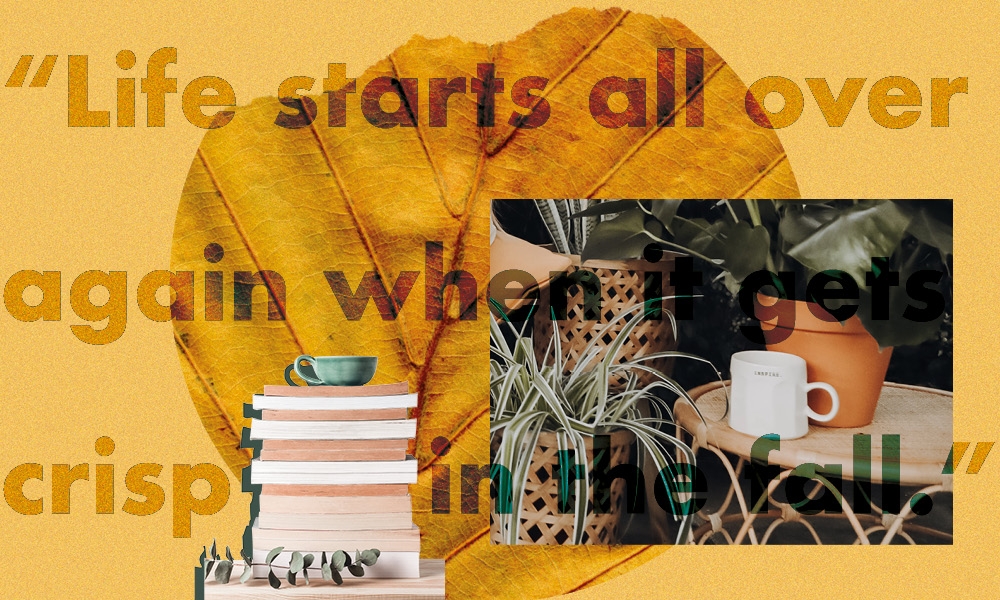 Autumn books