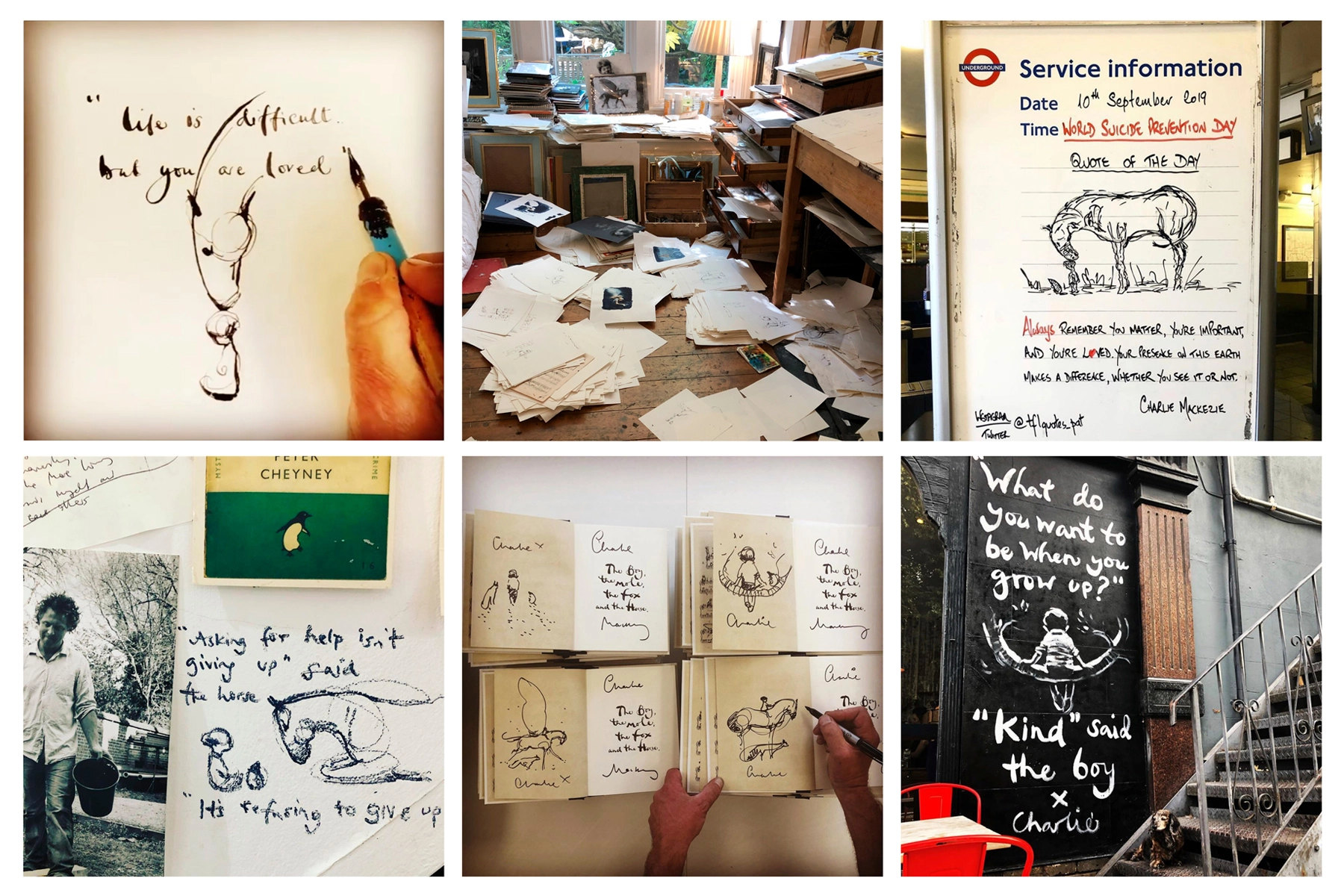 ‘This book saved my life’: How The Boy, The Mole, The Fox and The Horse became a publishing phenomenon