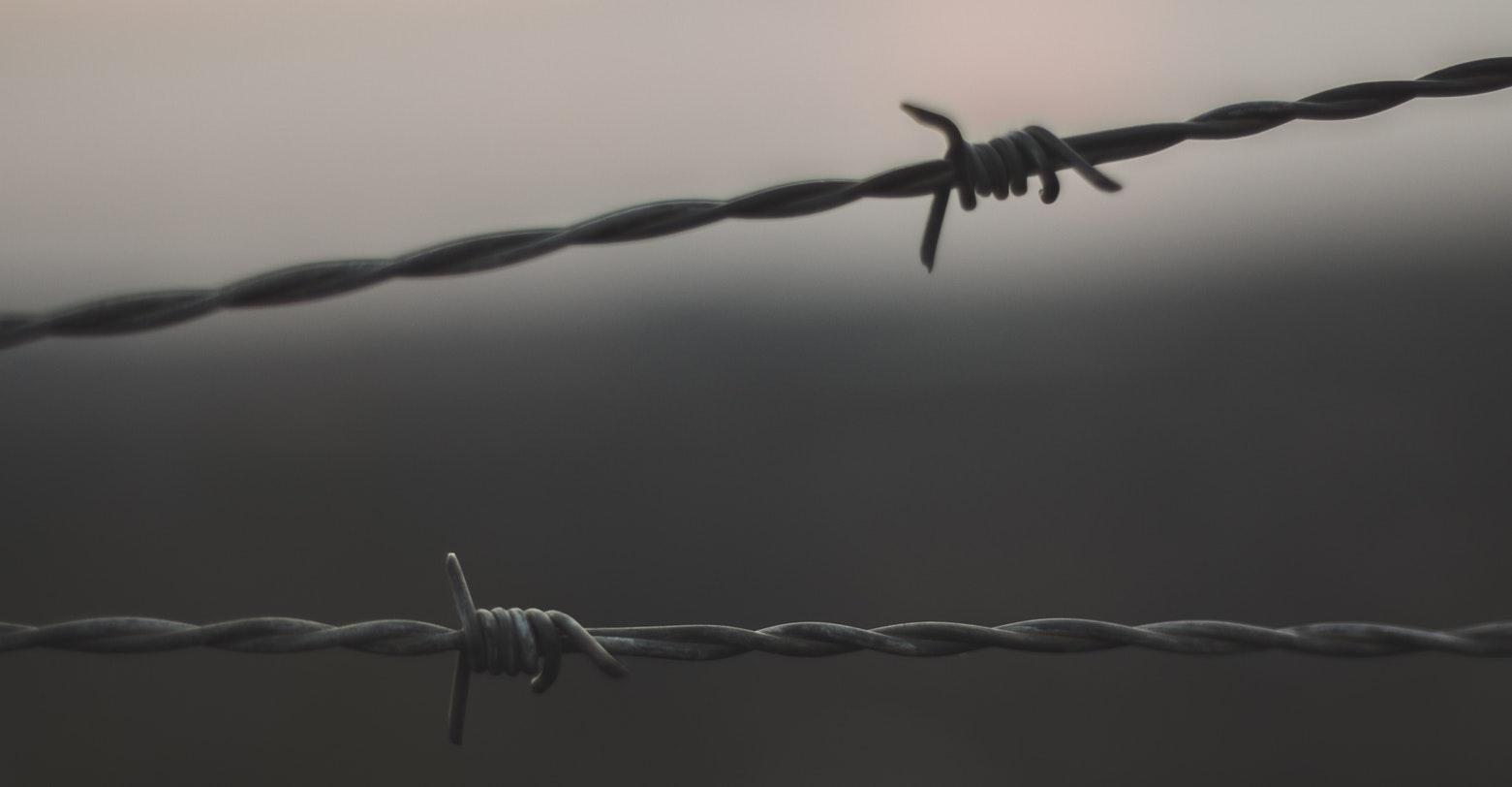 Man’s Search For Meaning by Viktor E. Frankl, a heartbreaking Holocaust survival story