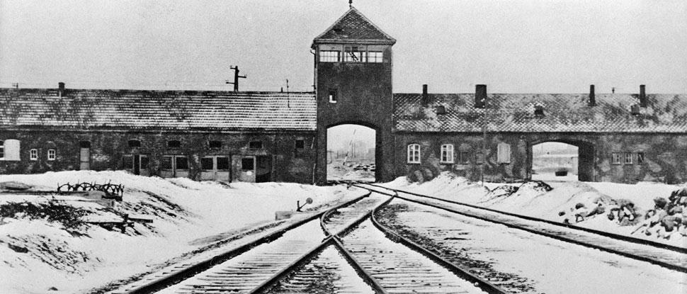Auschwitz remembered: Jack Fairweather’s essential reading on the Holocaust