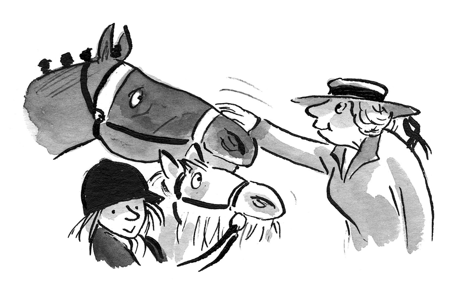 15 fantastic horse and pony facts