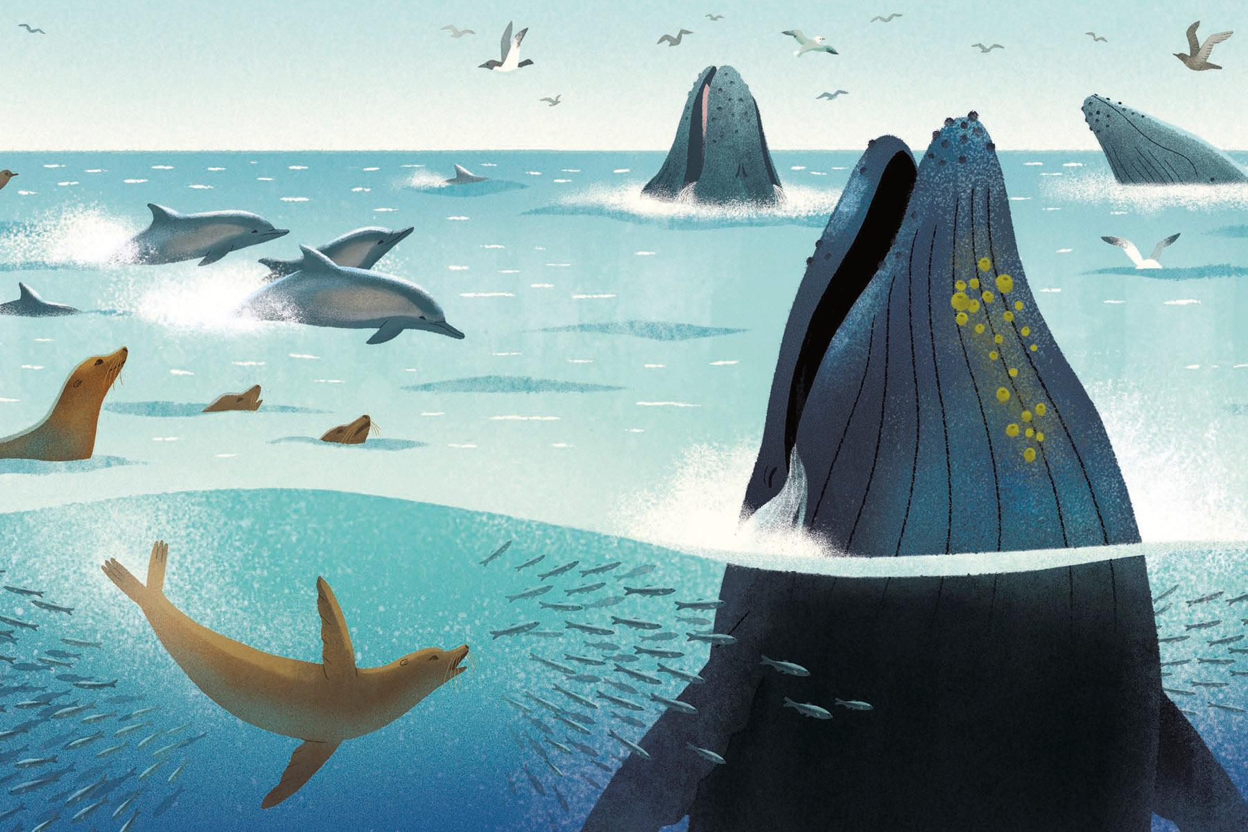 15 fascinating facts about the ocean