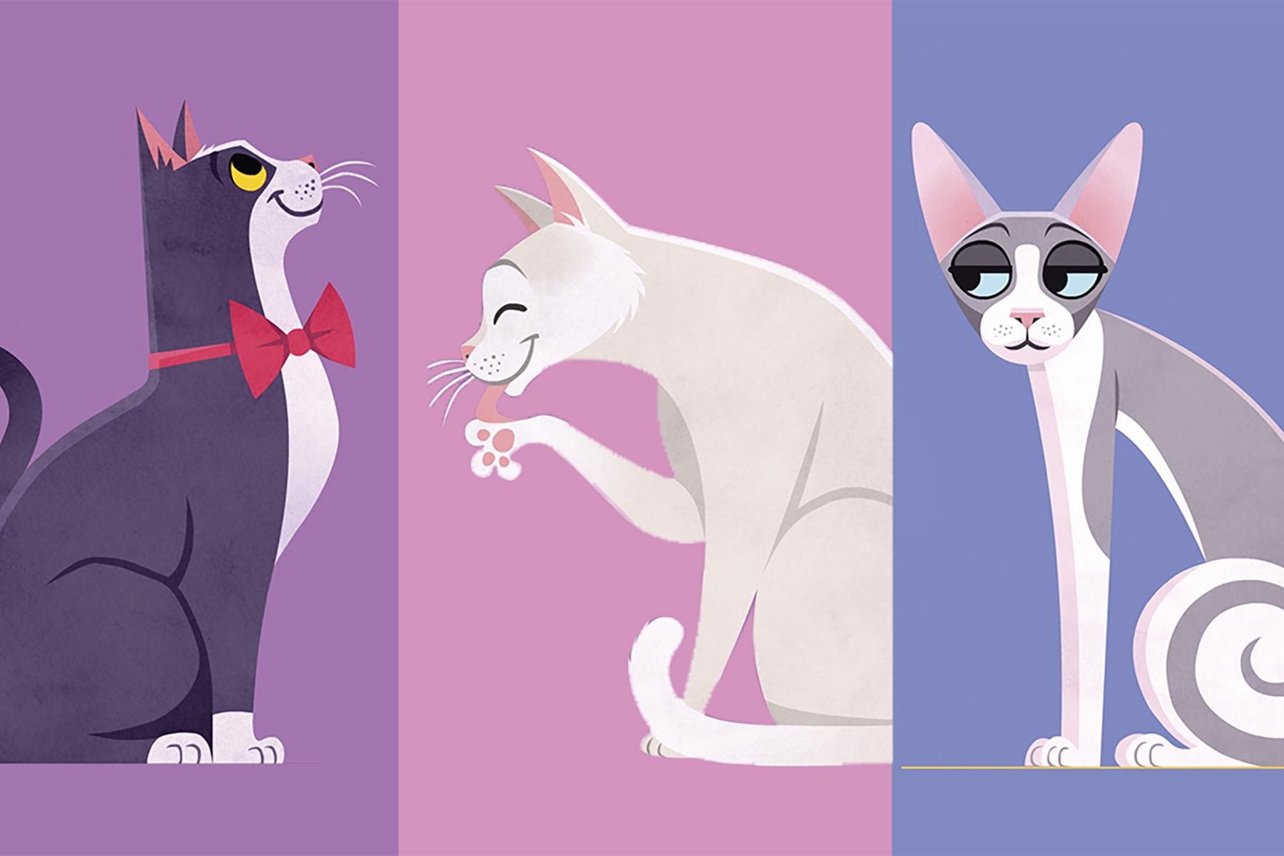 What type of cat are you?