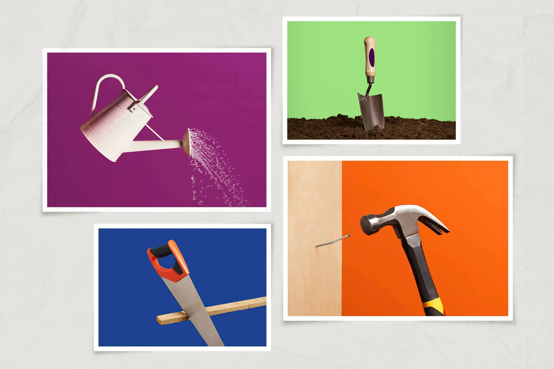 The best DIY and gardening books