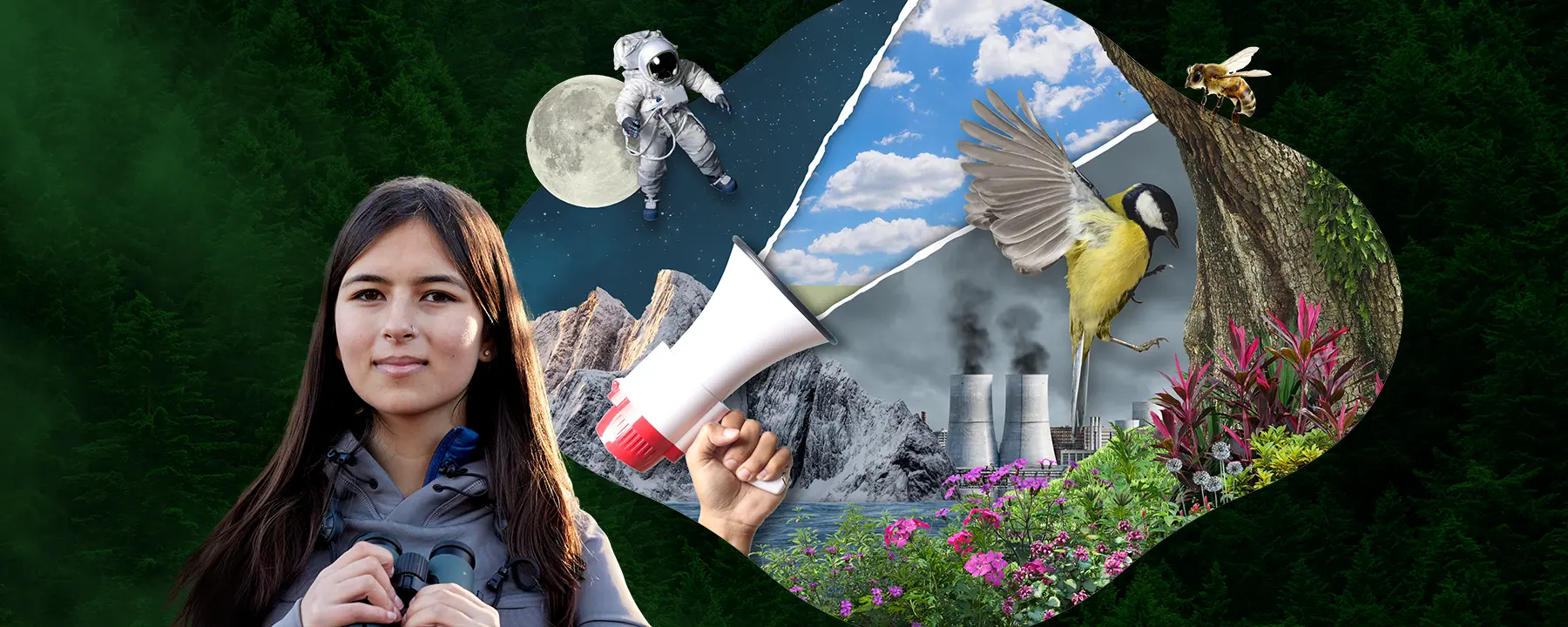 The Penguin books that challenged our view of the environment