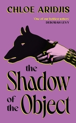 Book cover of The Shadow of the Object by Chloe Aridjis