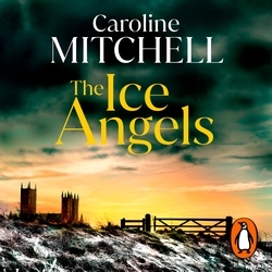 Book cover of The Ice Angels by Caroline Mitchell